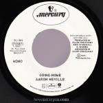 aaron-neville_02_Seven45rpm