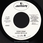 aaron-neville_02_Seven45rpm